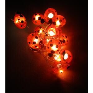 Garden Collection Ladybug LED String Lights 15 Count 5.3 Feet Indoor Decor